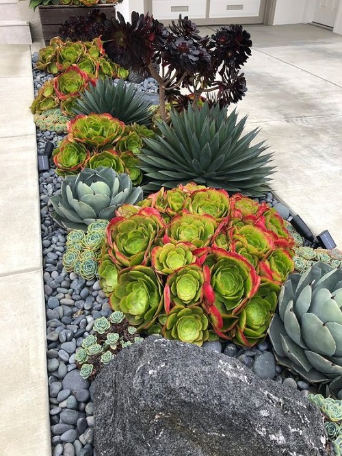 Succulent on the Entrance Ideas 47