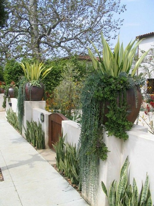 Succulent on the Entrance Ideas 45