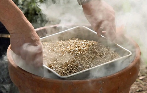 Smoke Germination Technique 3