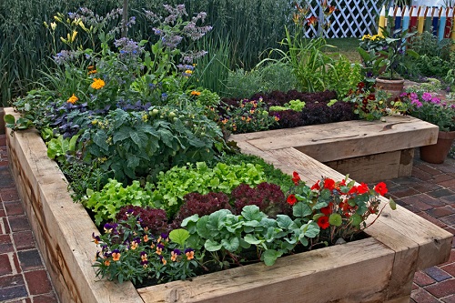 Patio Vegetable Garden Ideas