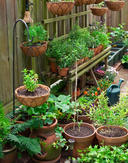 Patio Vegetable Garden Ideas 3