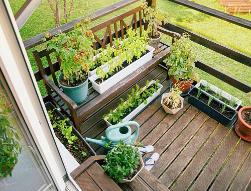 Patio Vegetable Garden Ideas 7