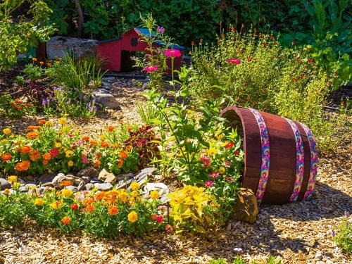 Whiskey Barrel Planters 23