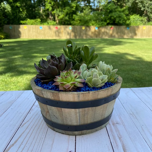 Whiskey Barrel Planters 19