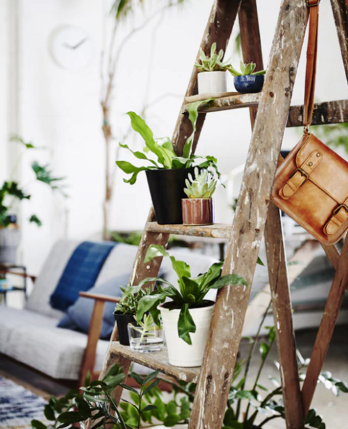 Ideas to Display Plants in New and Old Furniture 13