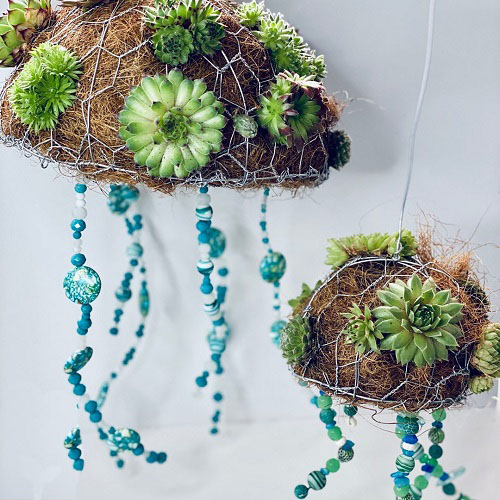  Succulent Ball Ideas 15