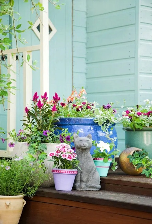 Plants on Steps and Staircase 11