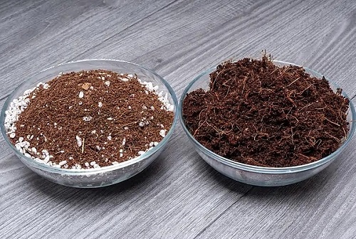 Best Aroid Soil Mix Ideas 3