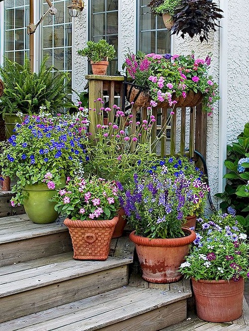 Plants on Steps and Staircase 12