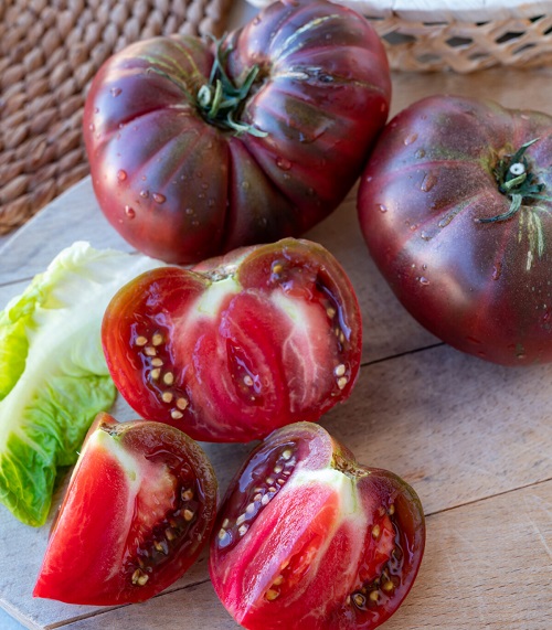 Tomatoes for Sauce 13