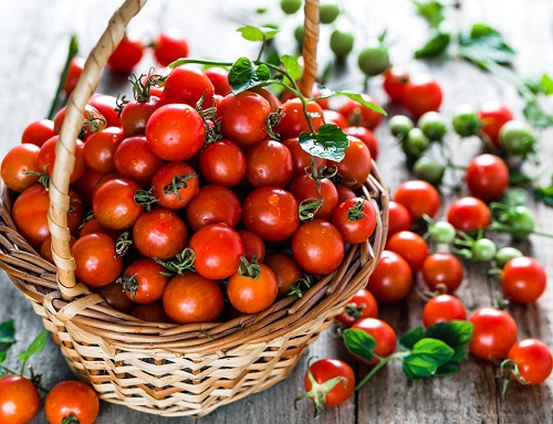 Tomatoes for Sauce 7