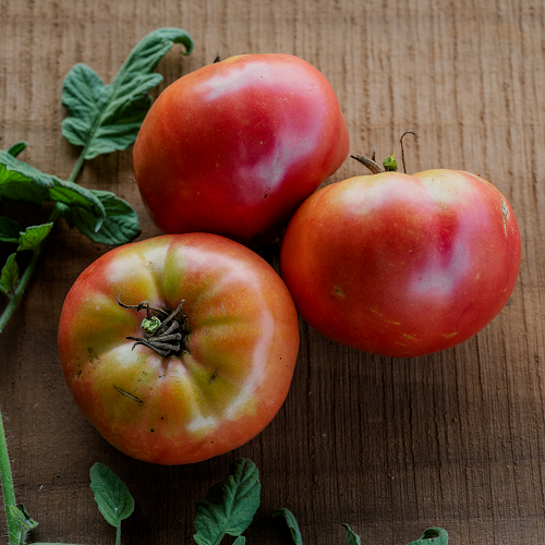 Tomatoes for Sauce 25