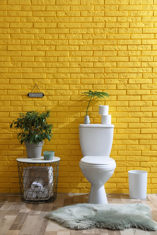 Plants Around Toilet Seat in the Bathroom 38