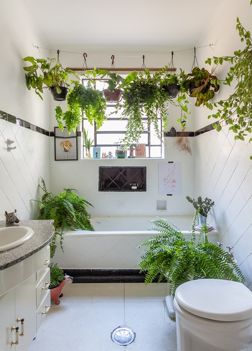 Plants Around Toilet Seat in the Bathroom 13