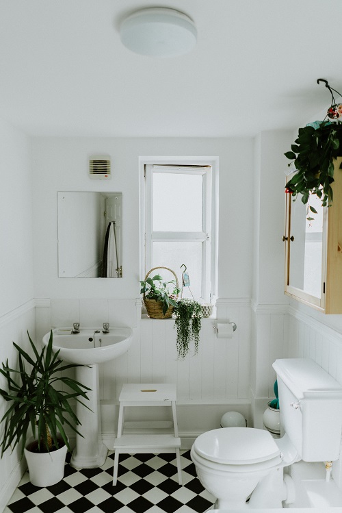 Plants Around Toilet Seat in the Bathroom 3