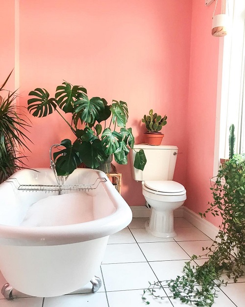 Plants Around Toilet Seat in the Bathroom 7