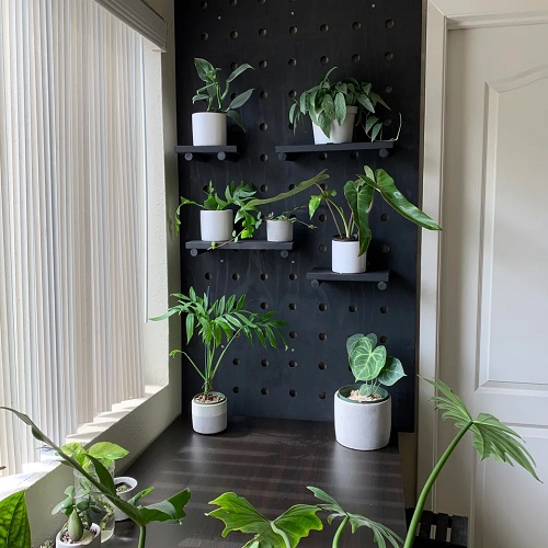 Vertical Pegboard Garden Ideas 9