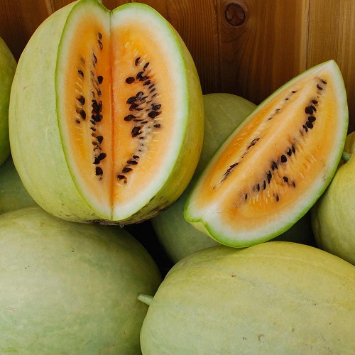 Orange Watermelons 5