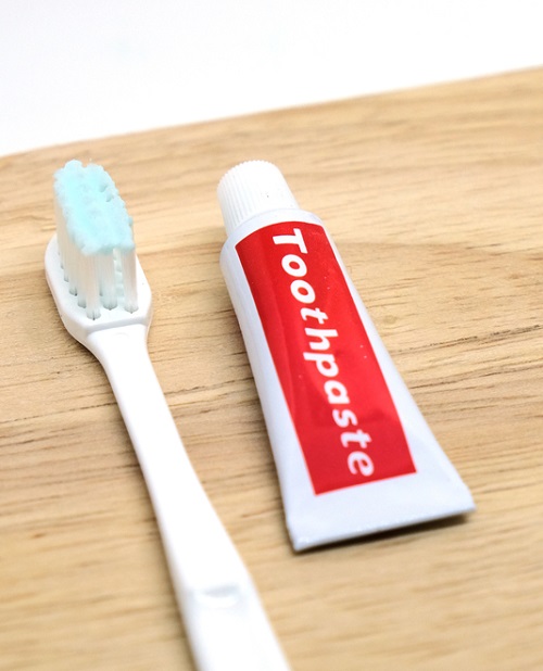 toothpaste for aphid control 1