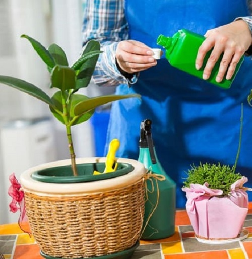 Unconventional Gardening Tricks 21