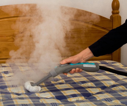 get rid of bed bugs 3