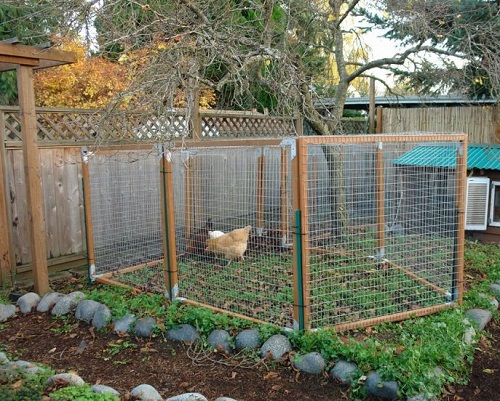 Vegetable Garden Fence Ideas 1