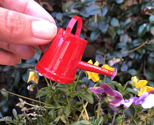 DIY Indoor Plant Watering Can 11