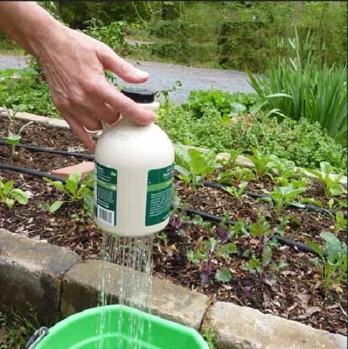 DIY Indoor Plant Watering Can 15