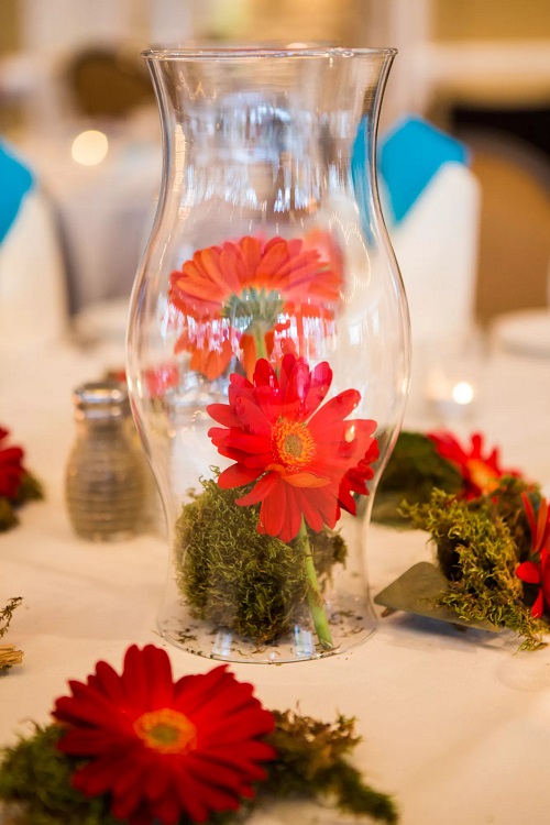 Gerbera Daisy Display Ideas 2