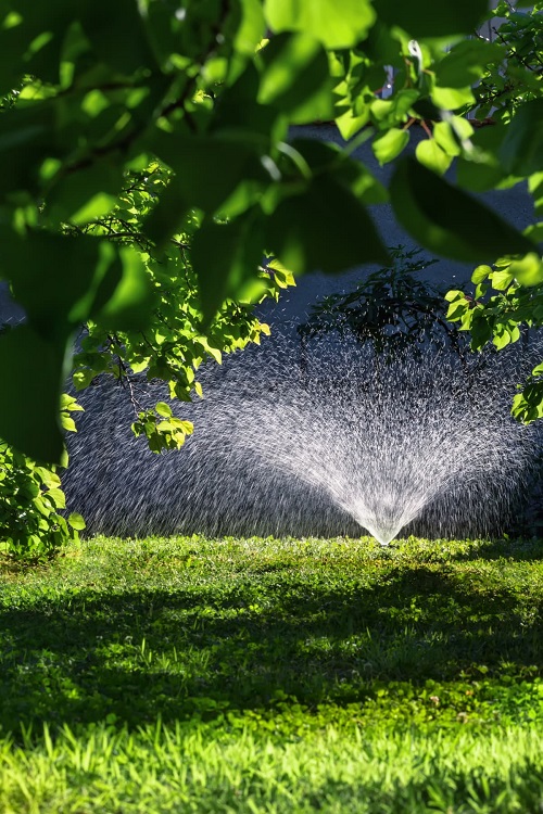 Best Time to Water Lawn in Hot Weather 3