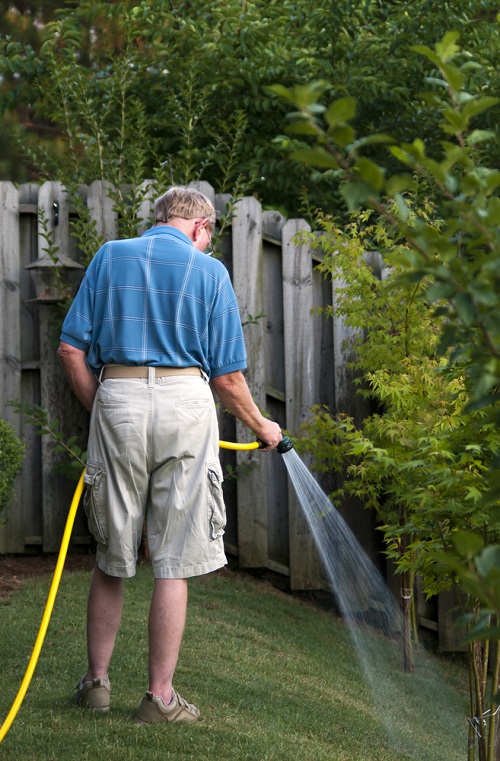 Best Time to Water Lawn in Hot Weather 1