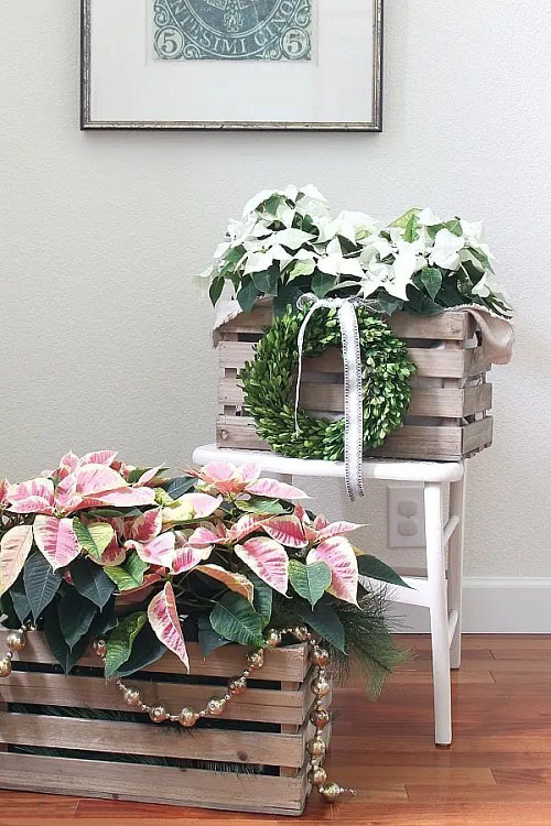 Poinsettia Arrangement Ideas 11