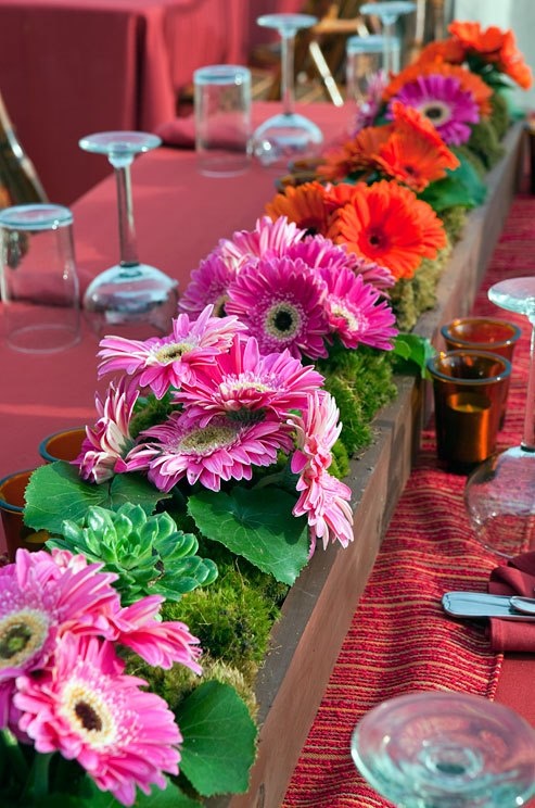 Gerbera Daisy Display Ideas 10