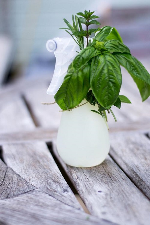 DIY Natural Mosquito Repellent Recipes 4