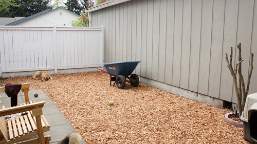 DIY Dog Fence Ideas 9