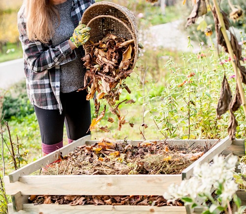 Pumpkin Peel Uses in Garden 5