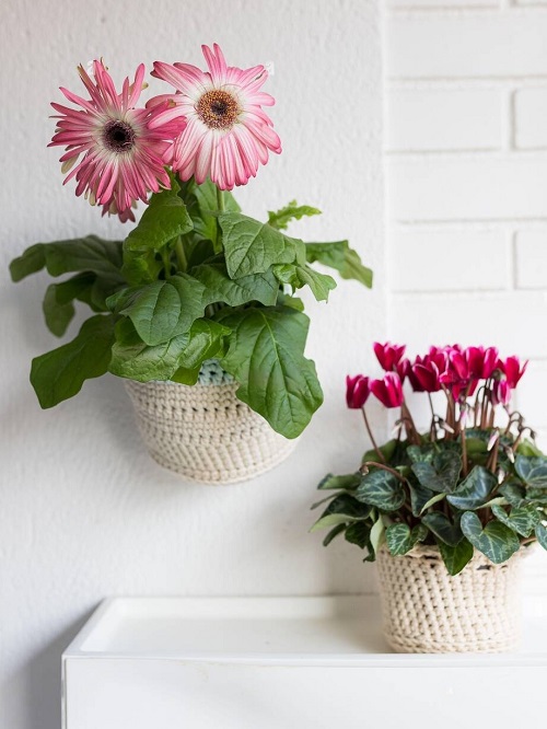 Gerbera Daisy Display Ideas 8