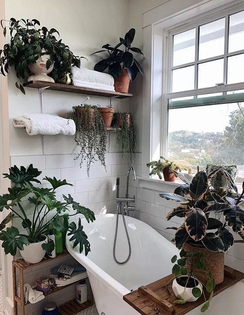 Bathroom Plant Decor 9