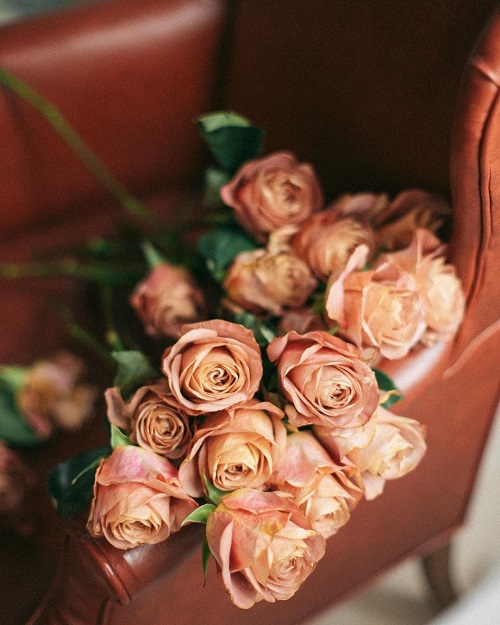 Brown Roses 1