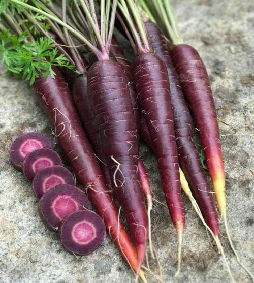 Purple Carrot Varieties 3