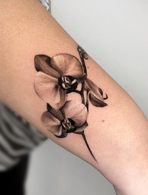 Orchid Tattoo 1