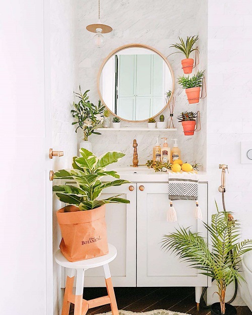 Bathroom Plant Decor 3