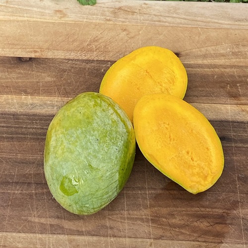 Sweetest Mango Varieties 11