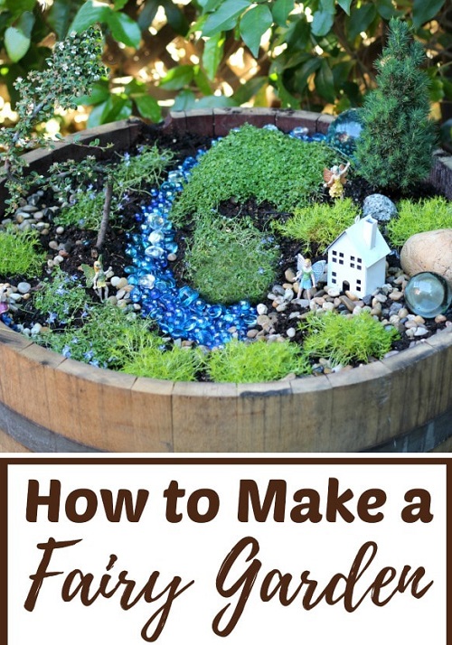 DIY Tabletop Indoor Fairy Garden 11