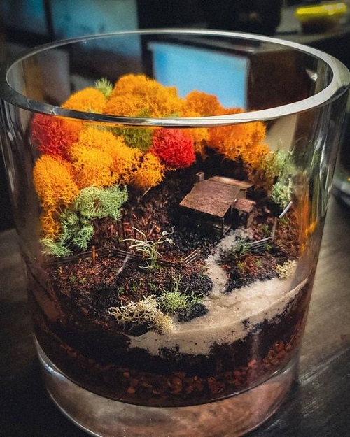 DIY Fall Terrarium 1