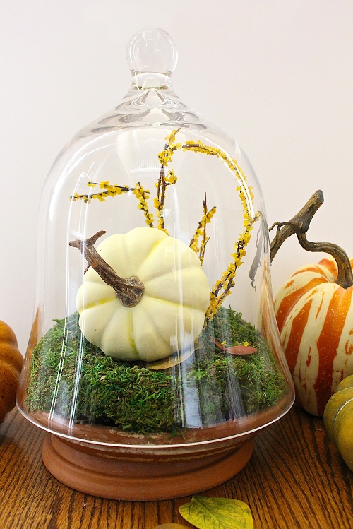 DIY Fall Terrarium 11