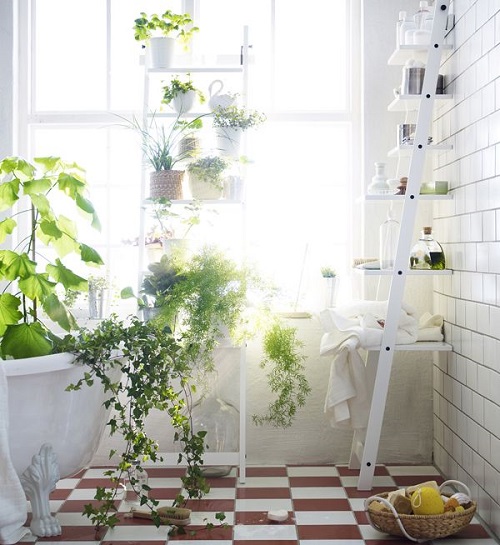  Bathroom Plant Decor 21