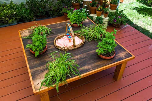 Tabletop Garden 22