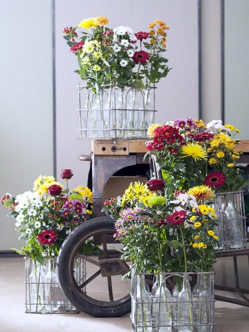 Chrysanthemum display Ideas 11