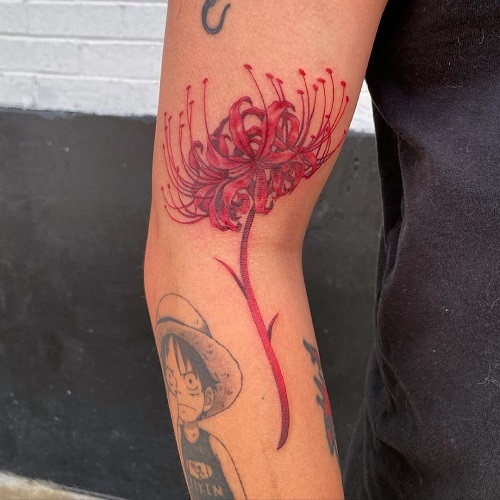 Spider Lily Tattoo 15